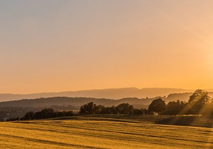 An update on our services